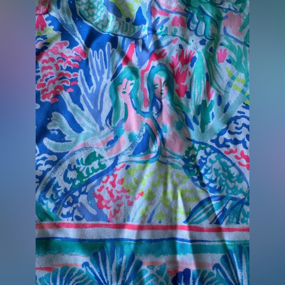 Lilly Pulitzer dress - Picture 12 of 14